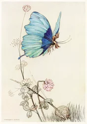The Butterfly Took Wing, and Mounted Into the Air with Little Tom on His Back, from The Fairy Book