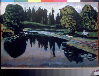A river in summer