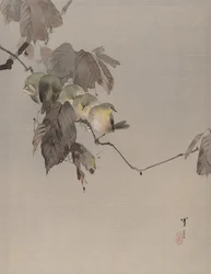 Birds on a Branch