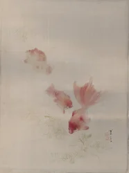 Goldfish