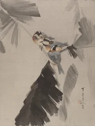 Three Birds on Branch