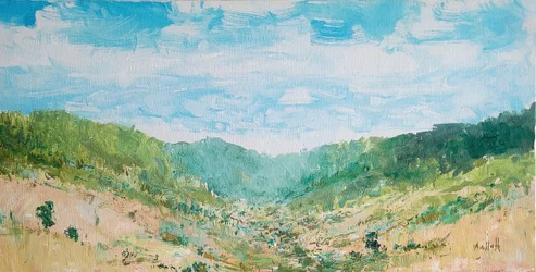 Lush Valley Landscape