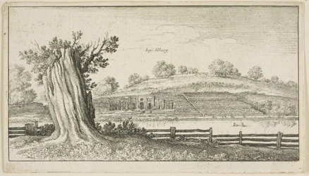 Albury with Tree-Stump in Foreground