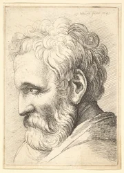 Bearded Old Man, 1645