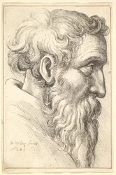 Bearded Old Man in Profile, 1645