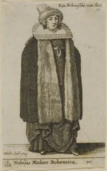 Bohemian Noblewoman