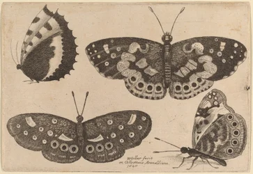 Four Butterflies