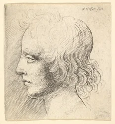 Head of Young Man