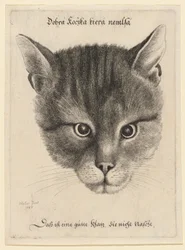 Head of a Cat, Middle Size
