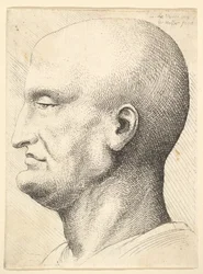 Head of a bald man in profile to left, 1644-52