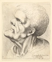 Head of a Man with Protruding Chin and Snub Nose Looking Upwards in Profile to Left