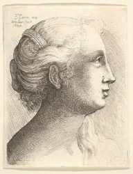 Head of a Young Woman in Profile to Right, 1645