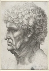 Head of a Man with Curly Hair, in Profile