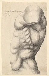 Male torso from neck to hip in profile to left