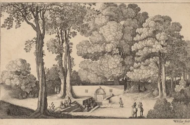 The Mineral Spring