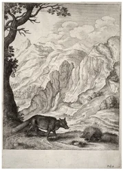 The fox and the porcupine (State 2)