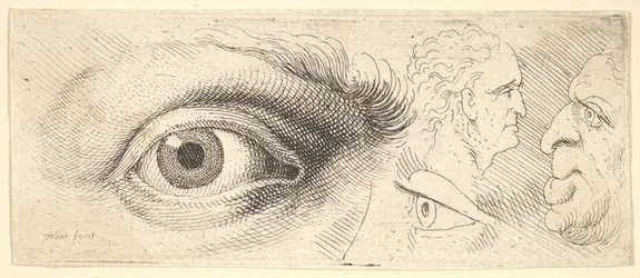 Two Eyes and Two Heads