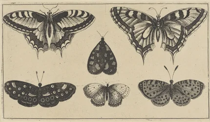 Five Butterflies and a Moth (Various Insects)