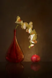 Moody Orchid and Pomegranate