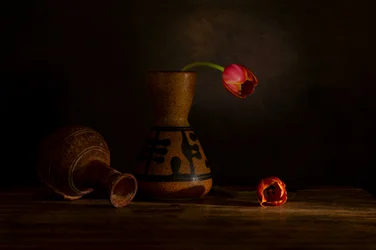 Moody Tulip Still Life