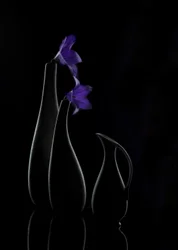 Purple Bloom Vases