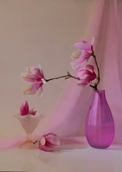 Soft Pink Magnolias