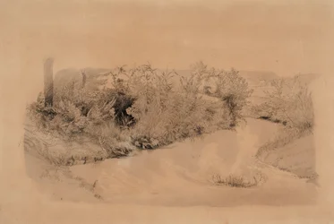 River Landscape