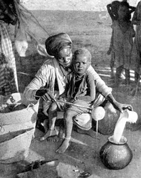 Gathering Myrrh and Frankincense, Somalia, Africa