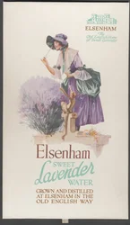 Elsenham Lavender