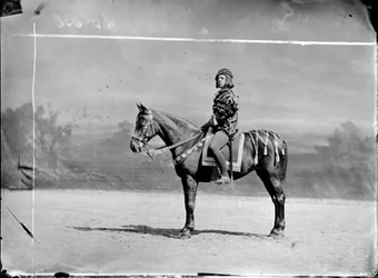 Unknown Aristocrat