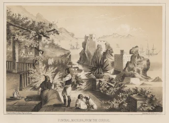 Funchal, Madeira, from the Curral