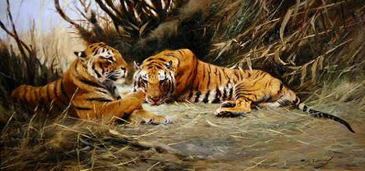Siberian Tigers