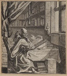 The Book Fool