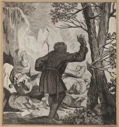 The Fool Who Is Not Witty In Other Mischiefs