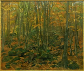 Rock Debris in the Odenwald