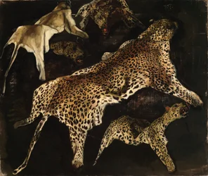 Leopard Skins