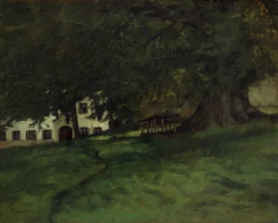 Linden Tree on Herrenchiemsee