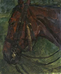 Horse Head