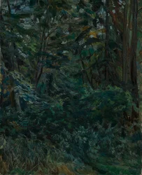 Forest Interior