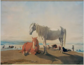 Grazing Horses at Lake Starnberg