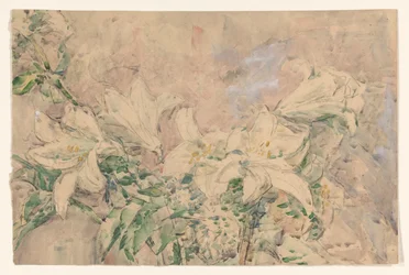 Lilies