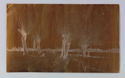 Willows by the Ditch at Binckhorstlaan in The Hague