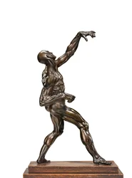 An Ecorche Man