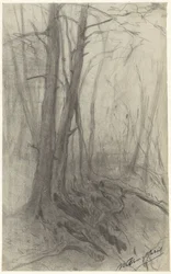 Trees in a Forest