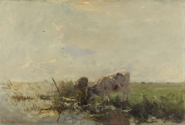 Cows at a Puddle