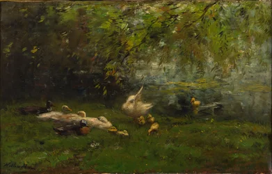 Duck Heaven