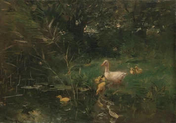Ducklings