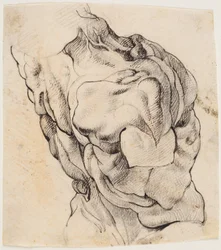 Anatomical Study. Torso of a Flayed Man Seen from the Back Half Turned to the Right