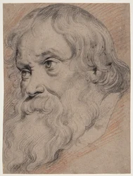 Head of an Elderly Bearded Man, Three-Quarter Profile to the Left