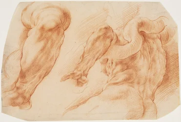 Laocoon. Studies of Laocoon